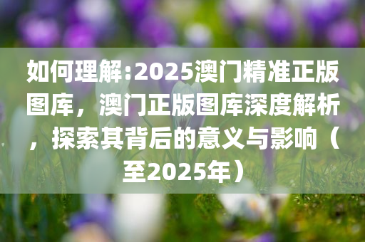 2025新澳门精准正版图库,全面释义、专家解读解释与落实与警惕虚假宣传
